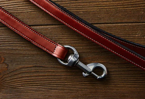 Old Reliable Leash