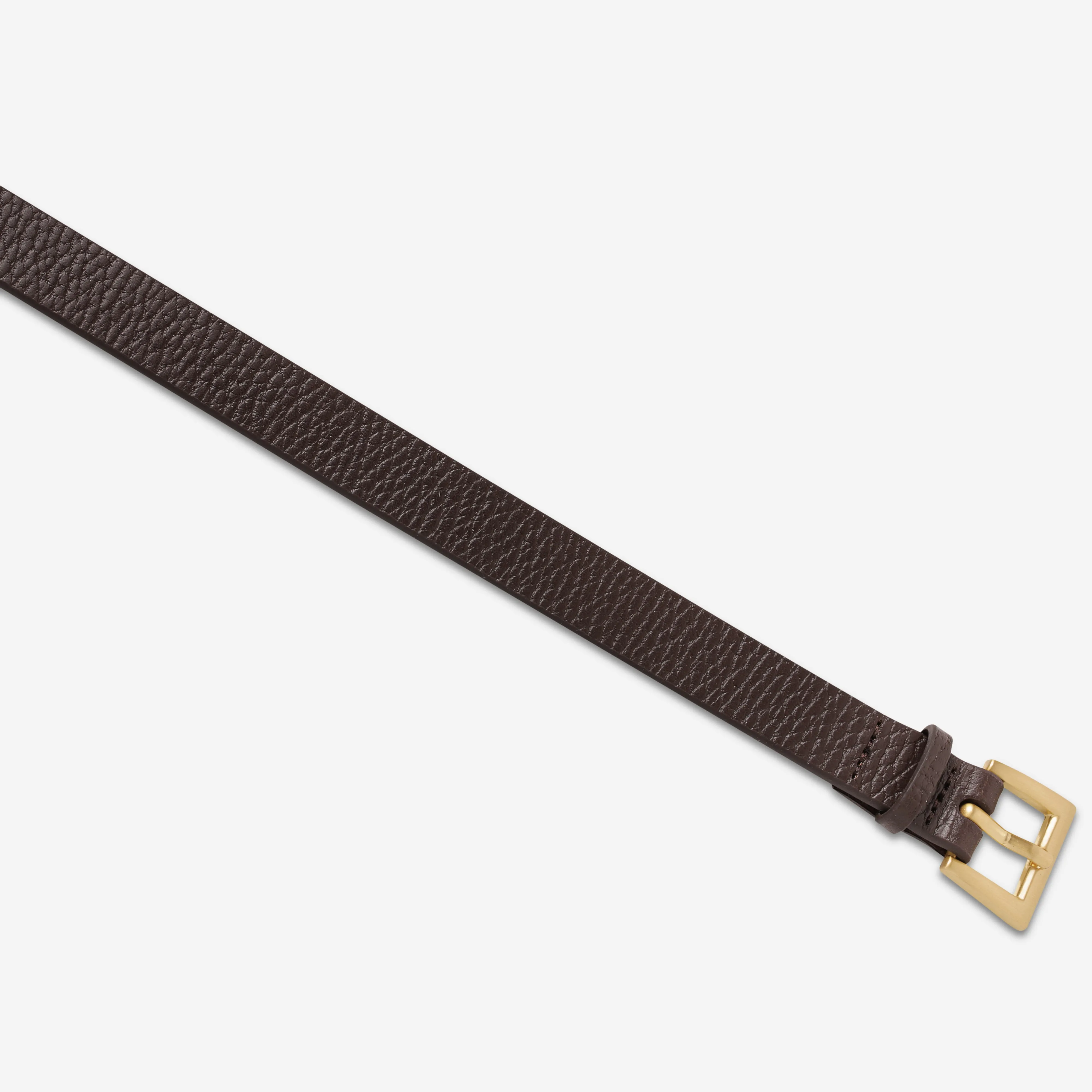 Part Of Me Belt - Choc/Gold