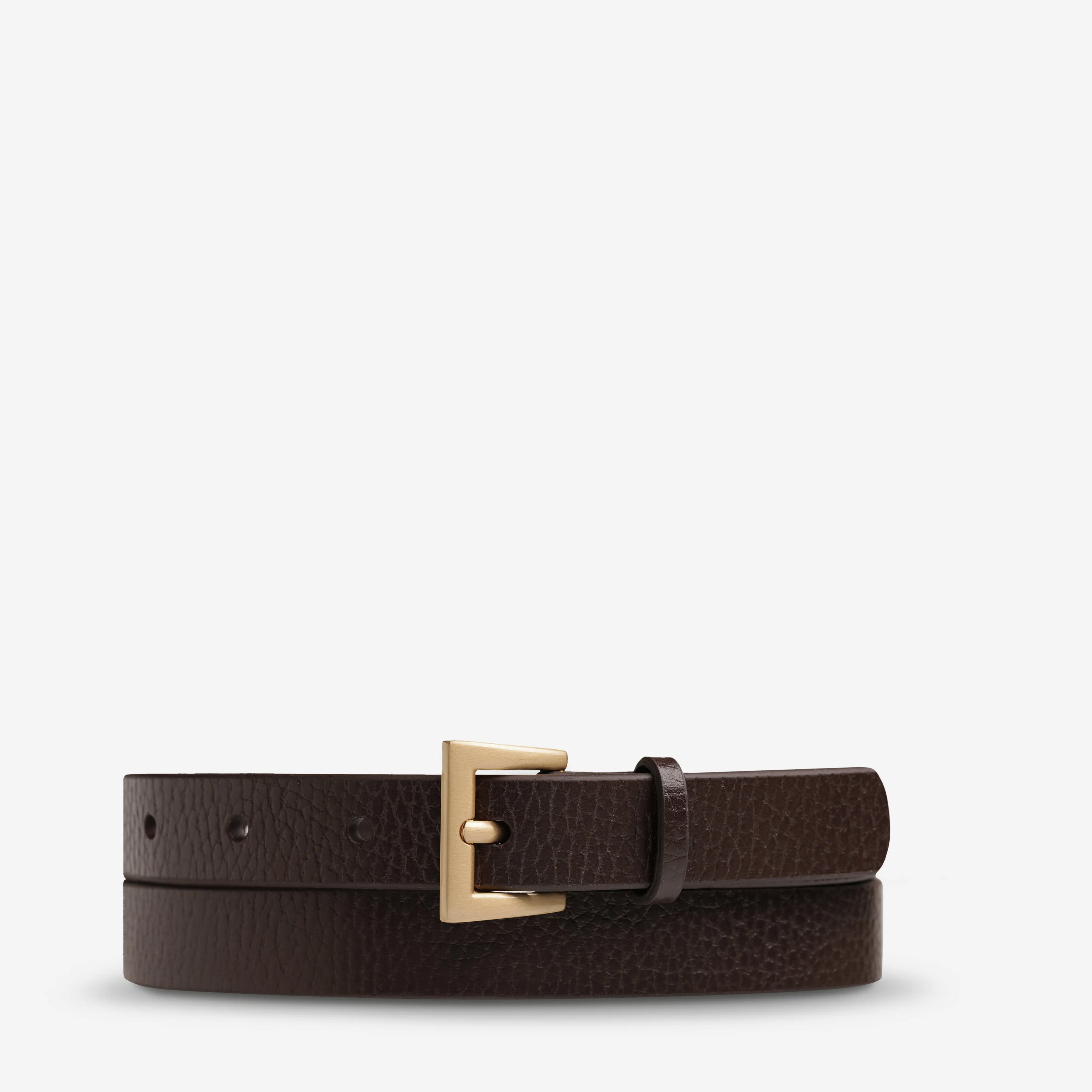 Part Of Me Belt - Choc/Gold